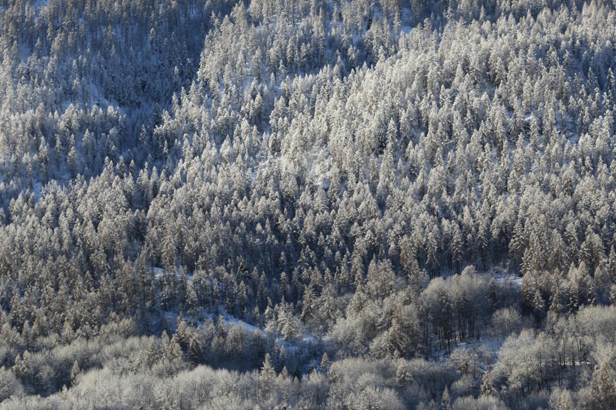 Maison De Montagne Serre Chevalier Saint-Chaffrey Zewnętrze zdjęcie
